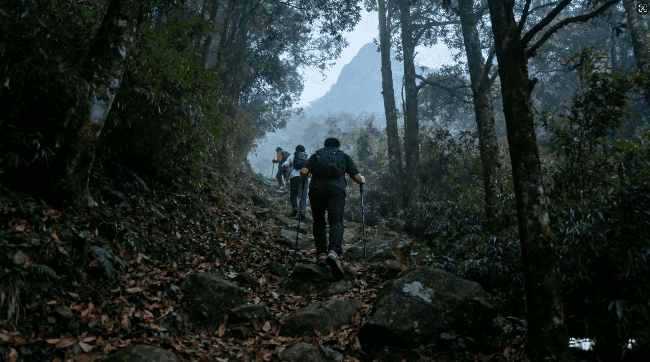 旋风加速器安卓免费版下载安装指南
